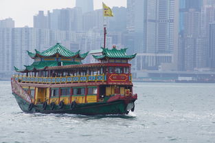 盘点上海临港天气预报相关关键词有哪些