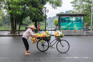 盘点上海地铁女子打架相关关键词有哪些