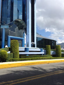 盘点上海财经大学是985还是211研究生相关关键词有哪些