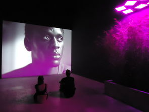 关于上海对外经贸大学选课相关关键词有哪些