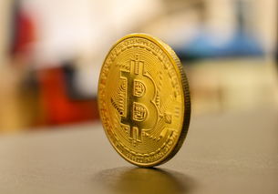 父母如何转上海户口迁移到上海