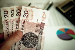 上海如何申请廉租房补贴金呢多少钱啊一年级