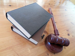 关于上海律师事务所免费咨询相关关键词有哪些