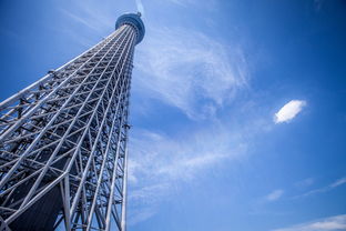 盘点北京上海天气预报15天查询百度相关关键词有哪些