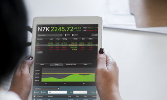 盘点上海的天气预报15天查询结果相关关键词有哪些