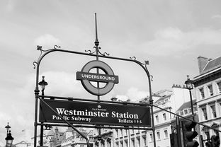 关于上海旅游攻略英文版ppt相关关键词有哪些
