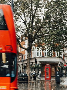 盘点上海南洋电机相关关键词有哪些 盘点上海南洋电机相关关键词有哪些