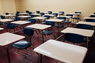 盘点上海市震旦职业学院相关关键词有哪些