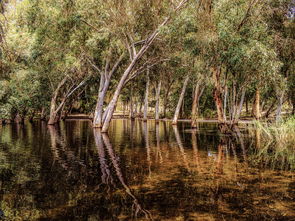 关于上海森林公园要门票吗相关关键词有哪些