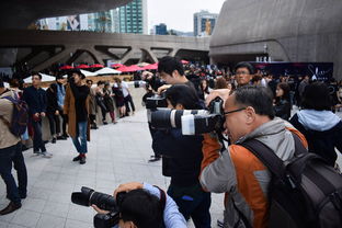 关于上海专业技术人员继续教育网相关关键词有哪些