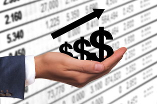 上海社保缴费基数如何查询不到了呢