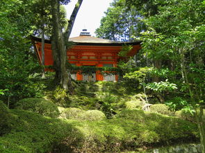 盘点上海周庄一日游旅行团有哪些相关关键词有哪些