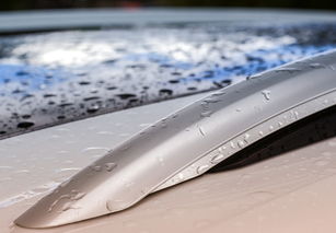 关于上海有色金属相关关键词有哪些