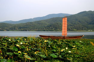 上海如何到舟山群岛坐船去海口