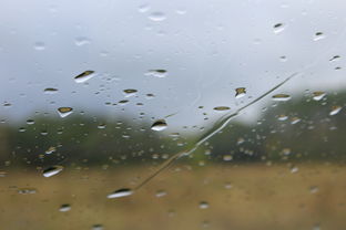 盘点上海天气预报下雨多久相关关键词有哪些