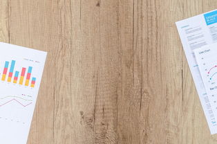 上海社保如何查看缴纳情况查询表图片