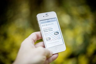 普通人如何在上海落户政策最新规定