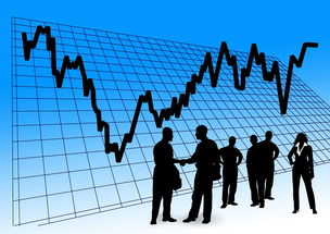 盘点上海财经大学专业目录相关关键词有哪些