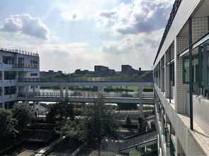 外地人如何在上海生存呢视频教学