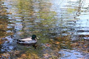 盘点上海下雪了吗相关关键词有哪些