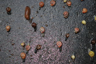 关于上海所有一本大学总览相关关键词有哪些