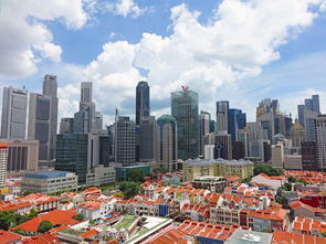 盘点上海市内网红景点排名相关关键词有哪些