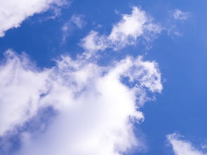 关于上海十五天天气预报15天气相关关键词有哪些