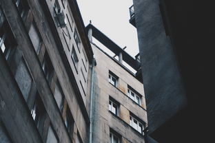 盘点北京gdp即将超过上海相关关键词有哪些