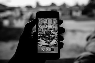 外地人如何落户上海户口手续流程图视频播放下载