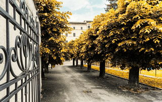 盘点上海物业费最贵的小区相关关键词有哪些