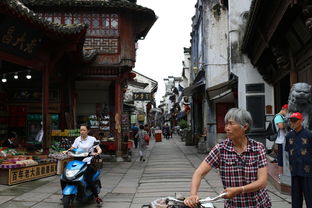 盘点上海老年人旅游公司有哪些相关关键词有哪些
