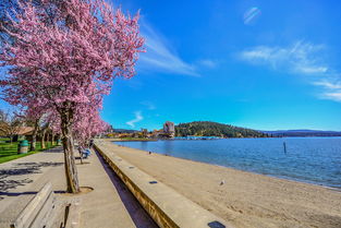 上海如何去舟山群岛旅游的路线图片视频介绍一下