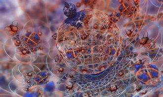 关于海宁到上海要做核酸吗相关关键词有哪些