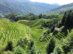 盘点上海辰山植物园景点图片相关关键词有哪些