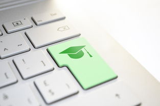 关于上海大学4 0中外合作国际本科学费多少钱相关关键词有哪些