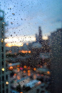 关于上海天气今天雨相关关键词有哪些