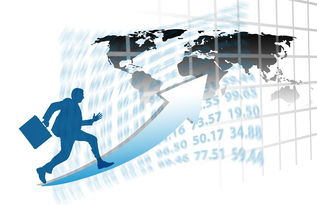 盘点上海巅峰相关关键词有哪些