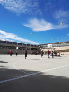 关于上海市松江区新桥小学相关关键词有哪些
