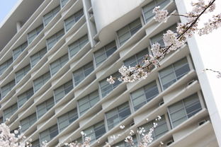 关于同济大学上海肺科医院相关关键词有哪些