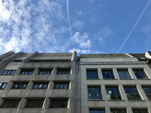 盘点上海对外经贸大学是985还是211学校相关关键词有哪些