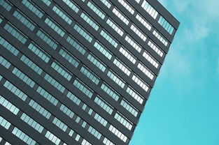 关于上海市2021年GDP相关关键词有哪些