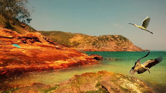 上海如何去舟山东极岛游玩方便些呢