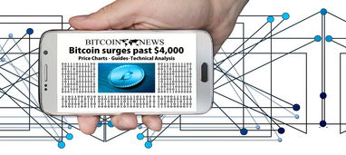 如何查在上海交的社保缴费记录查询