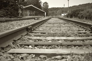 盘点上海运管相关关键词有哪些