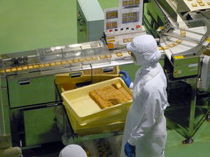 上海如何办社保卡 个人帐户的
