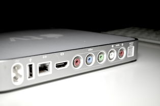 上海公司如何给员工办积分手续流程视频