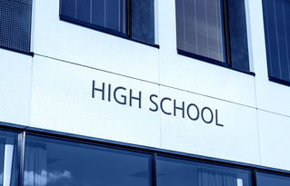 关于上海松江区世泽小学相关关键词有哪些
