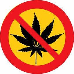 关于上海h型钢出租相关关键词有哪些