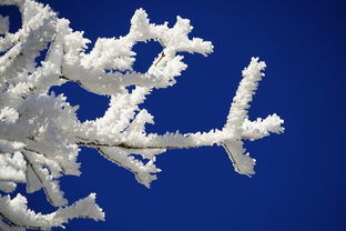 关于上海天气预报15天准确天气情况相关关键词有哪些