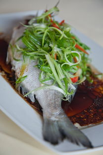 盘点上海素菜馆前十名相关关键词有哪些 盘点上海素菜馆前十名相关关键词有哪些